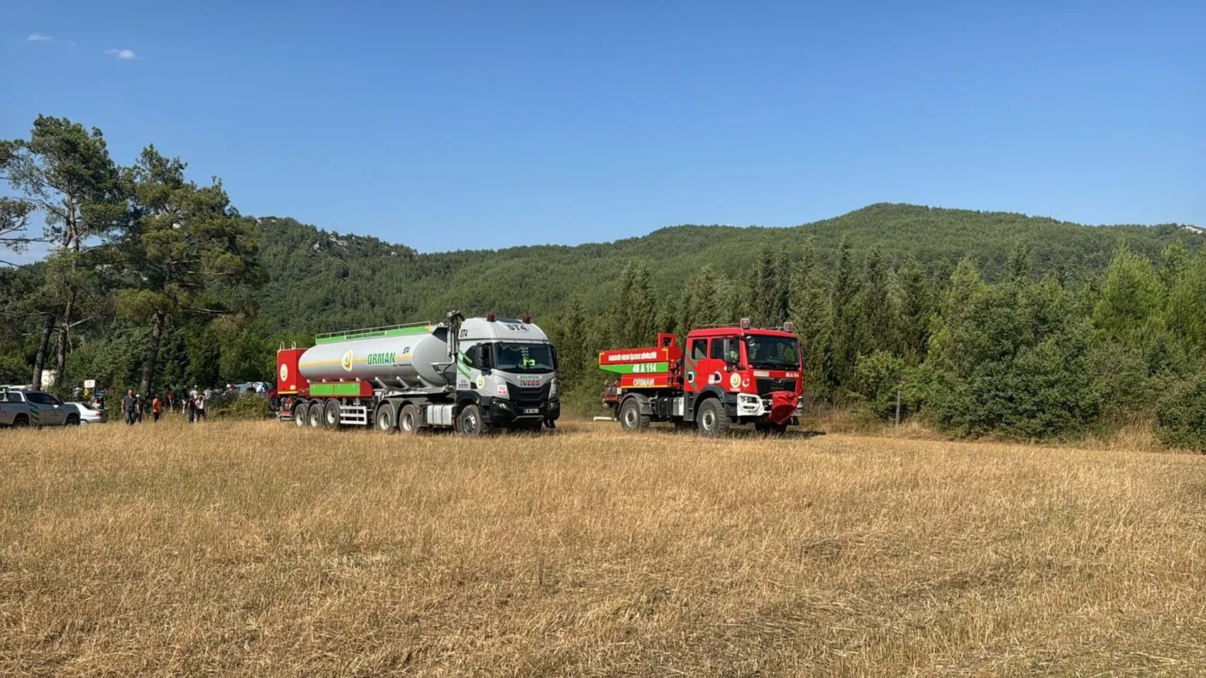 Muğla Yenice’de yangın ormana sıçradı ekipler havadan ve karadan müdahale ediyor
