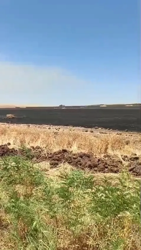 Siirt’te hasat bekleyen 800 dönüm buğday alevlere teslim oldu