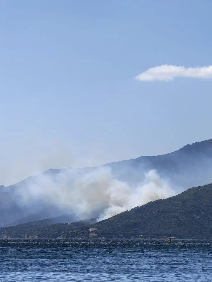 Yalova Armutlu sahilinde orman yangını paniği