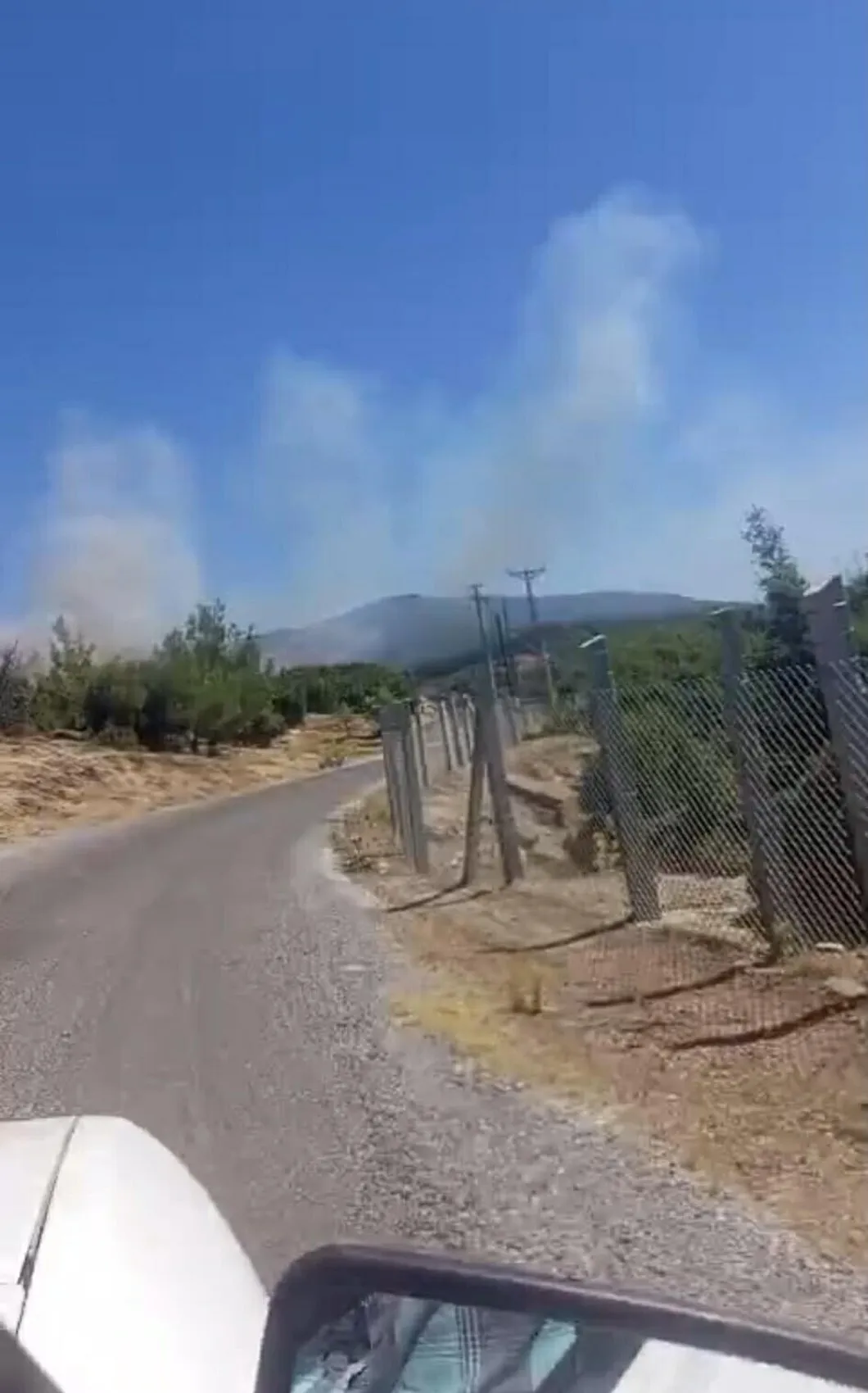Aydın Çine’de orman yangını kamerada