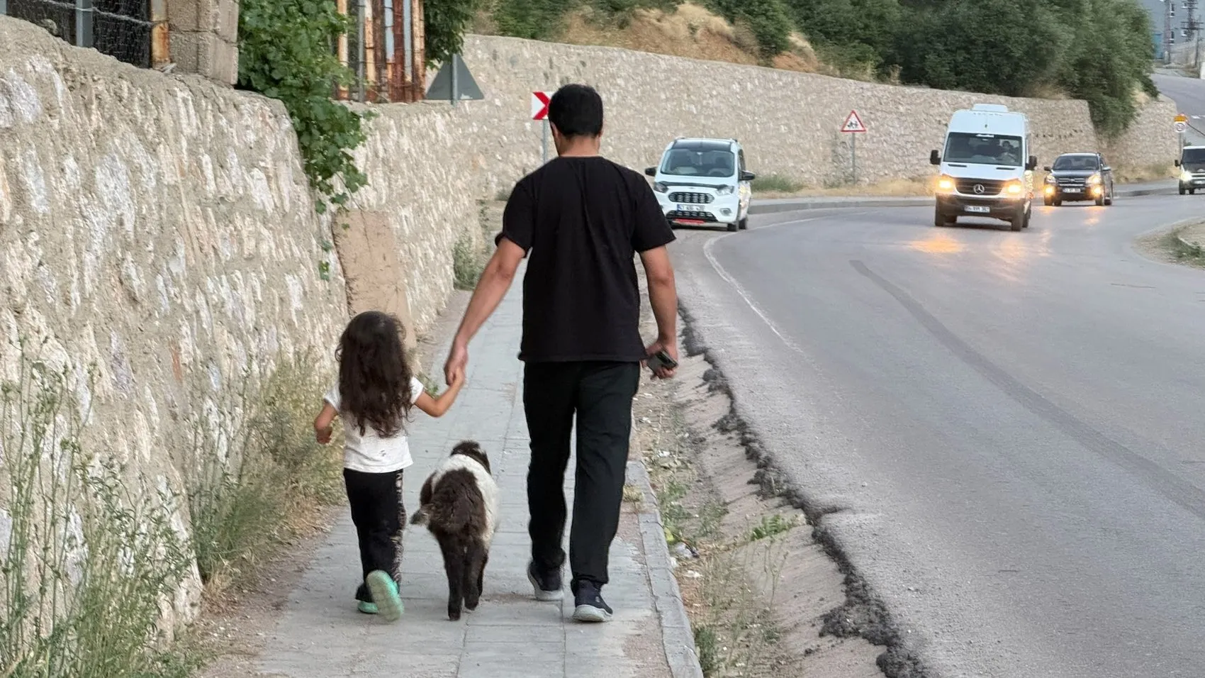 Şemdinli'de bir kuzunun sıra dışı yaşam yolculuğu