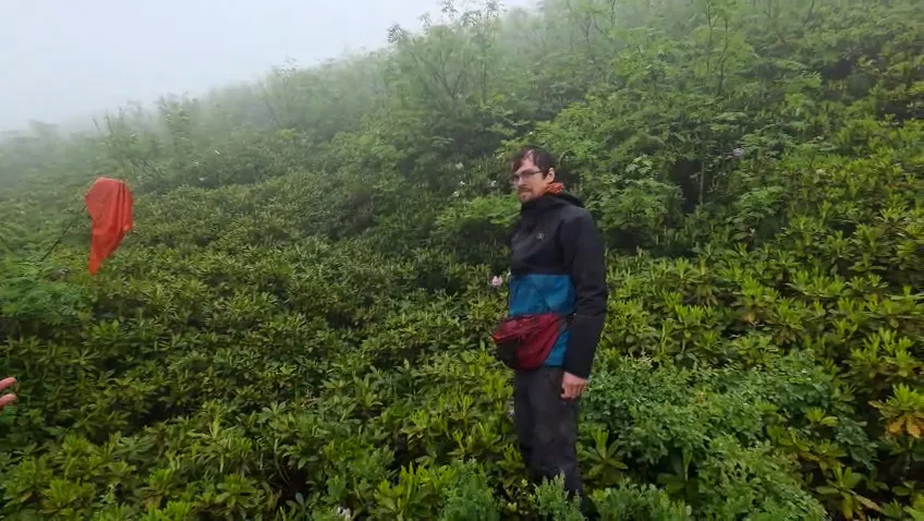 Rize’de sis yüzünden mahsur kalan turistleri ekipler kurtardı