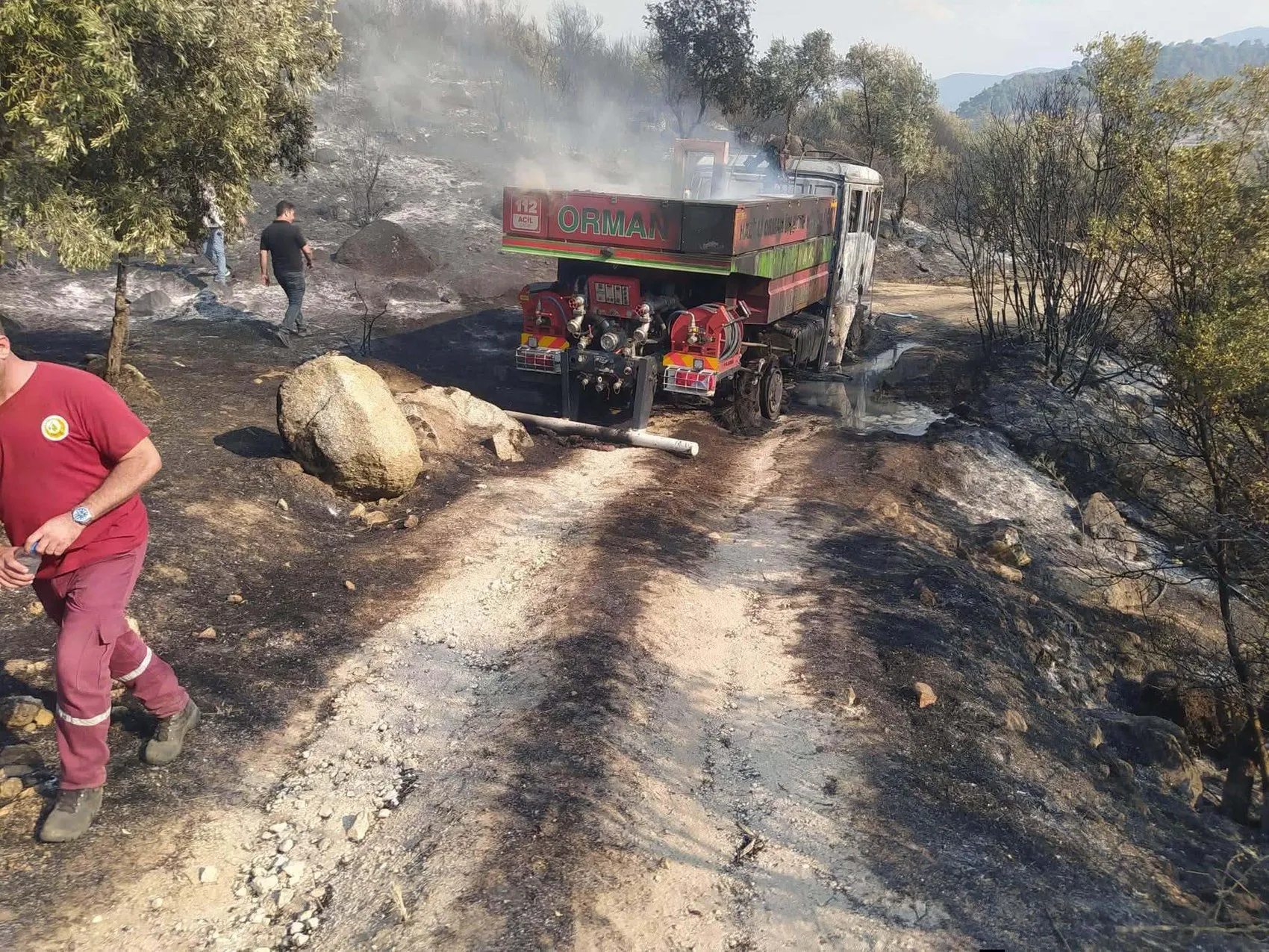 Bozdoğan’da zeytin bahçeleri küle döndü