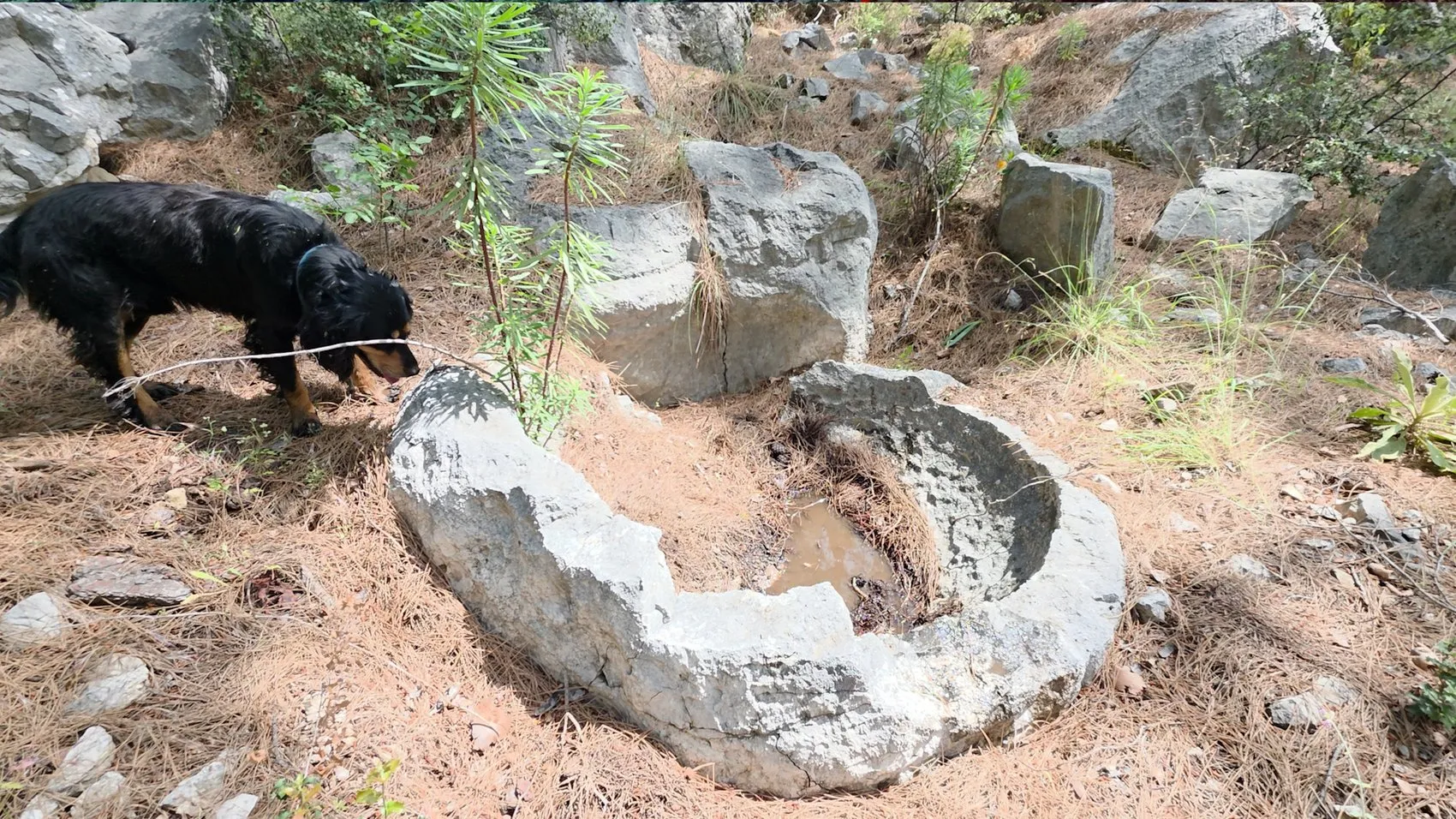 Antalya Konyaaltı’nda gizli bir yeraltı dünyası bulundu