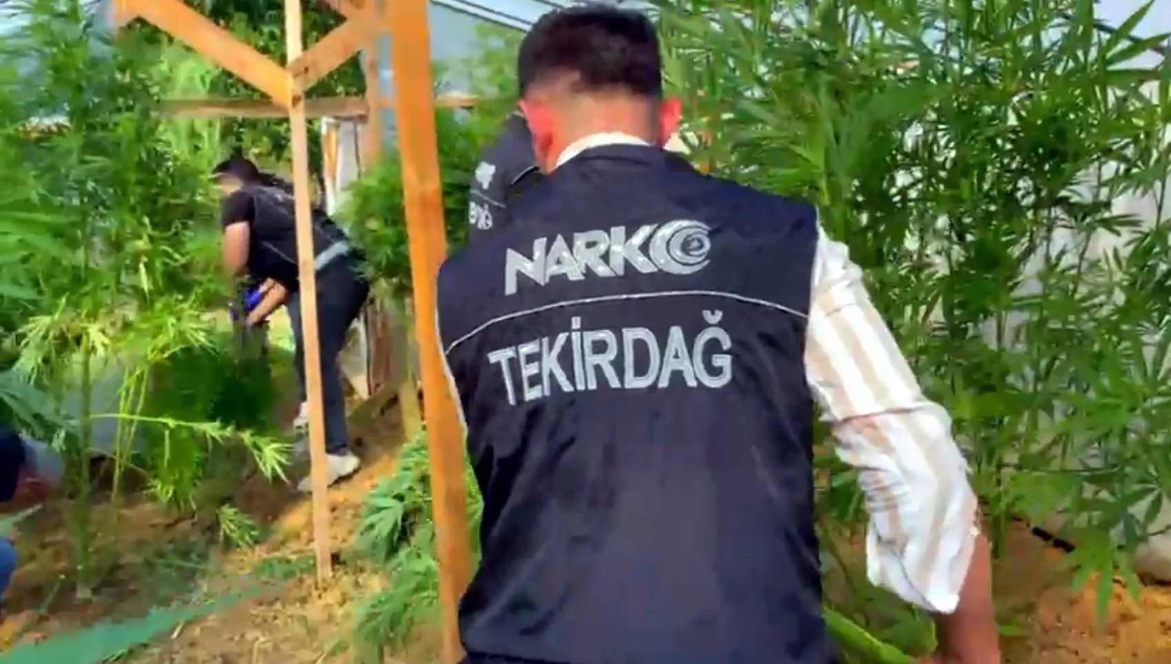 Tekirdağ'da bağ evine narkotik baskını