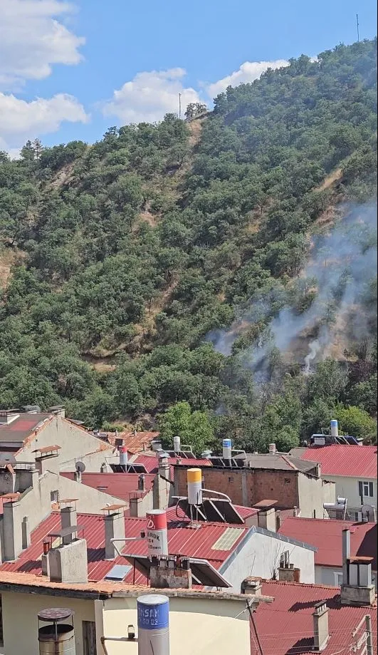 Tosya’da yerleşim yerine yakın noktada orman yangını paniği