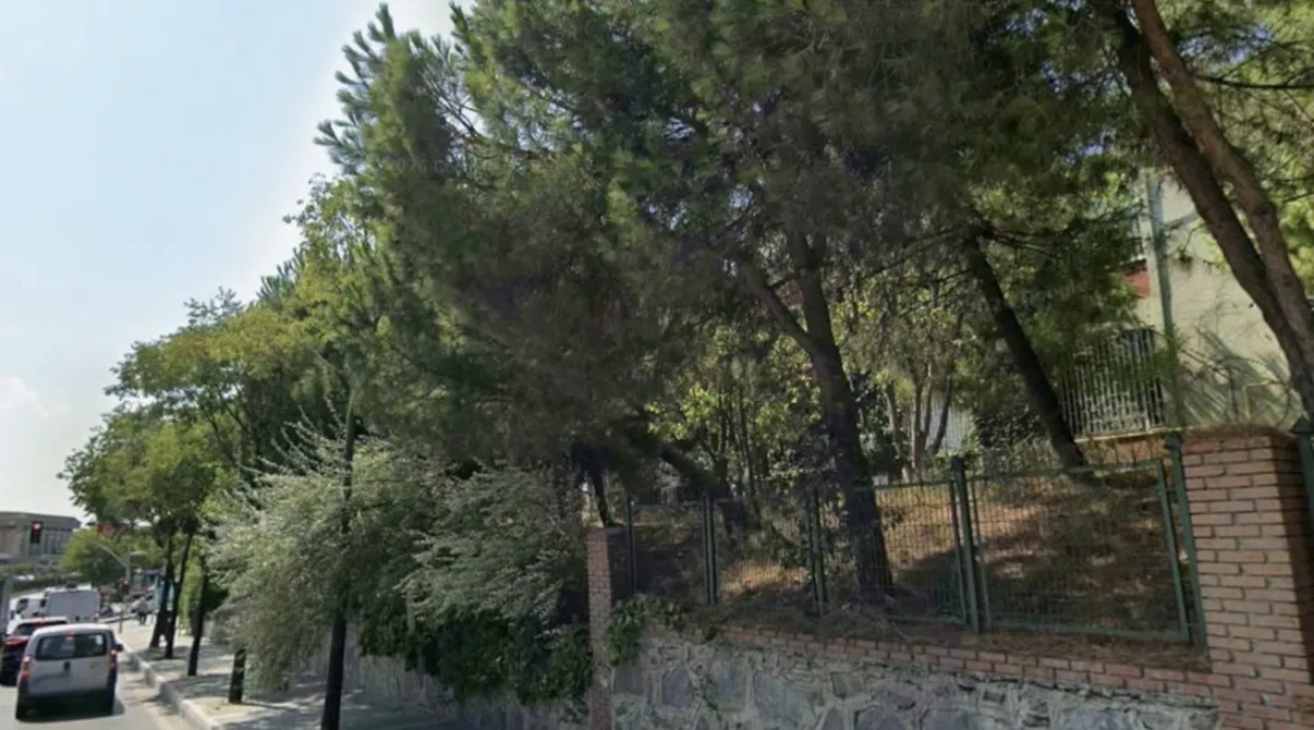 Başakşehir'de otopark uğruna yeşil alan katledildi