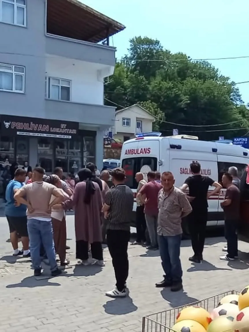 Fındık bahçesindeki arı sokması ölümle sonuçlandı