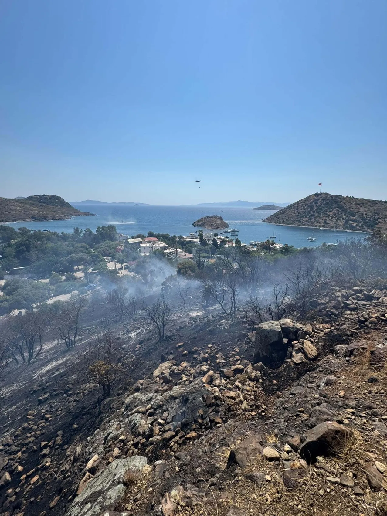Bodrum Gümüşlük'te korkutan yangın söndürüldü