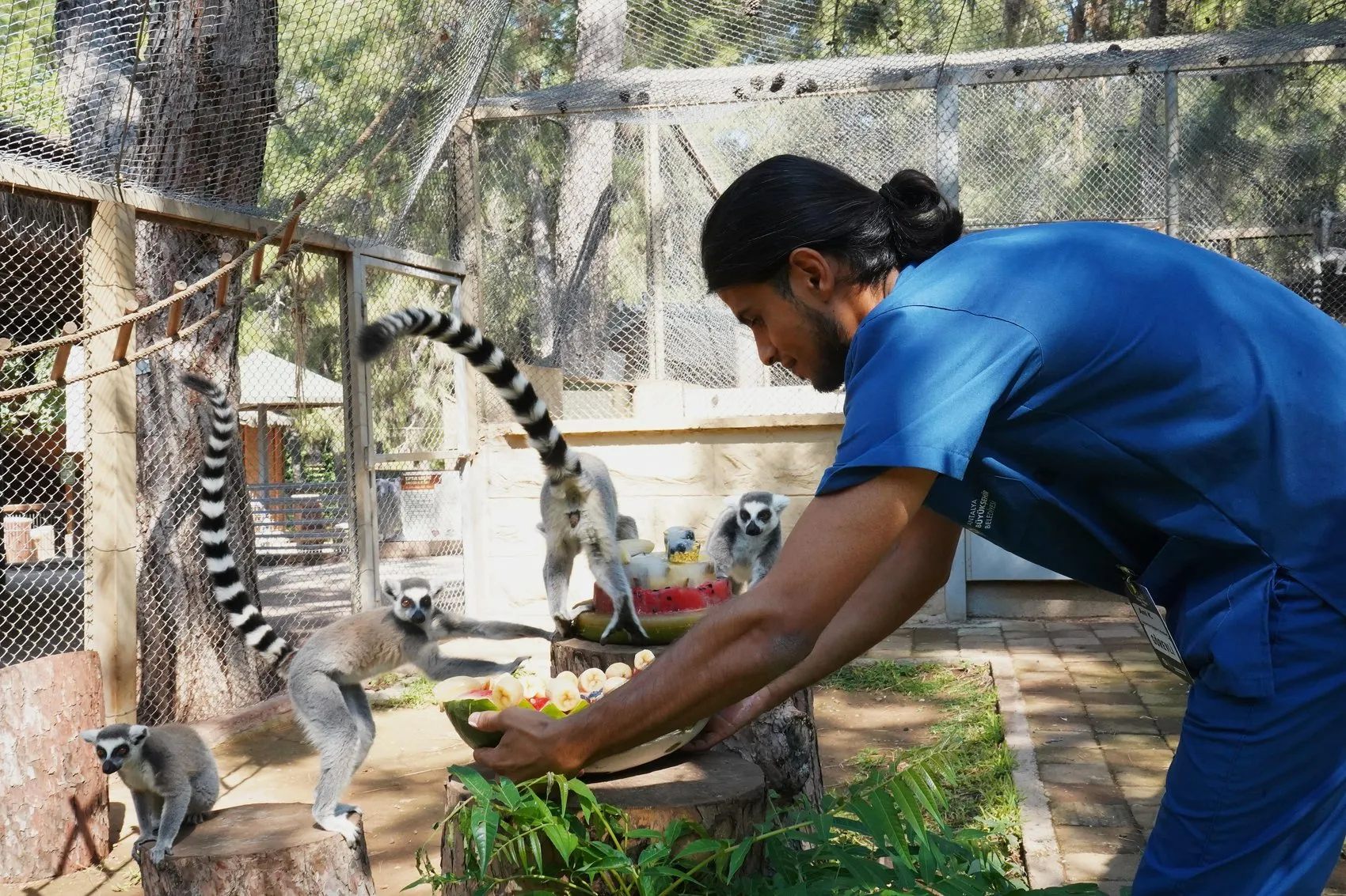 Antalya’da hayvanlar bunaltıcı sıcaklara karşı buzlu kokteyllerle serinliyor