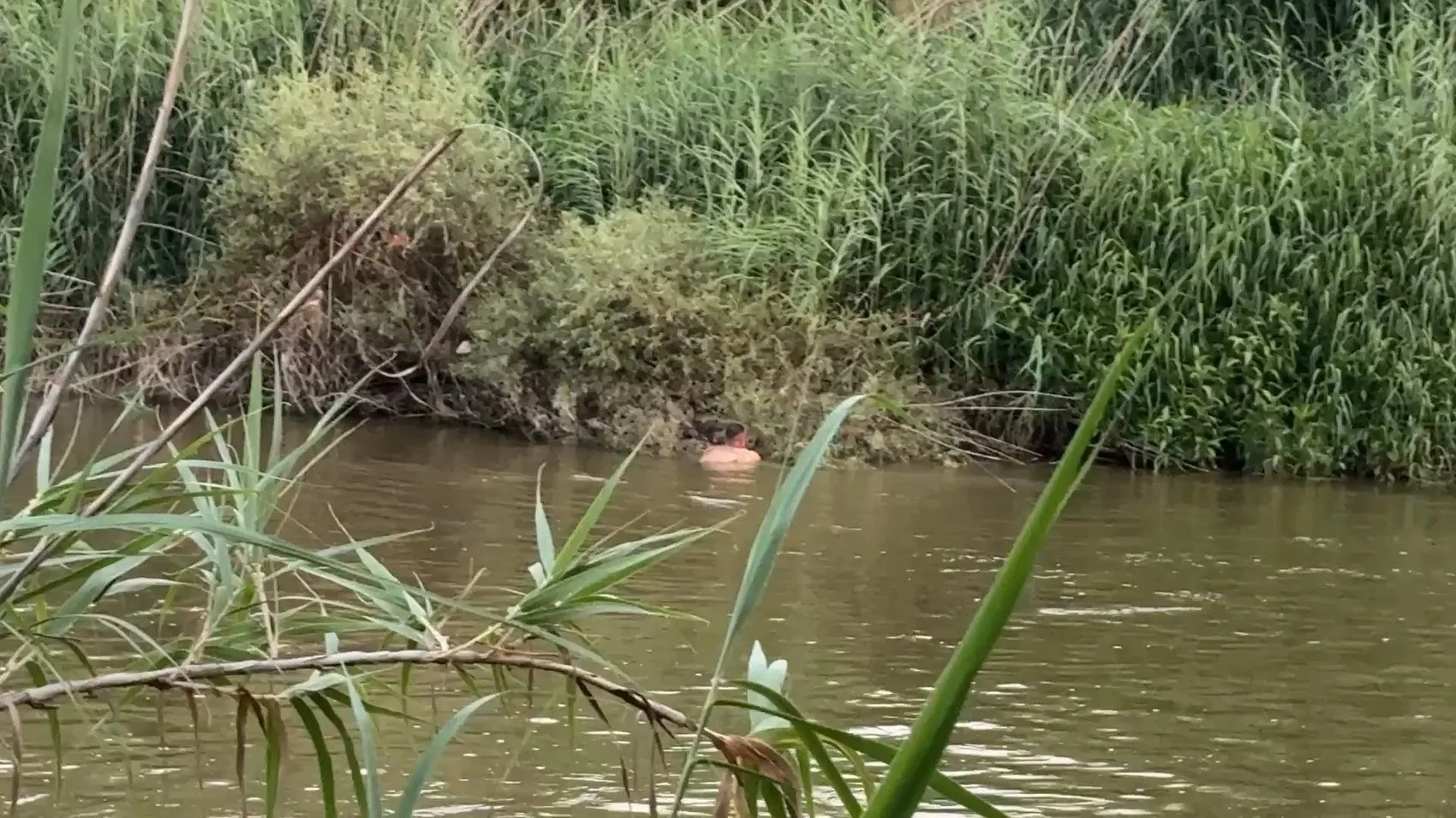 Aydın’da serinlemek için girdiği nehirde iki çocuk kayboldu