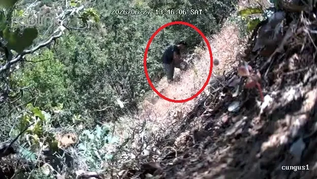 Diyarbakırda siyasetçinin kenevir mesaisi fotokapana takıldı