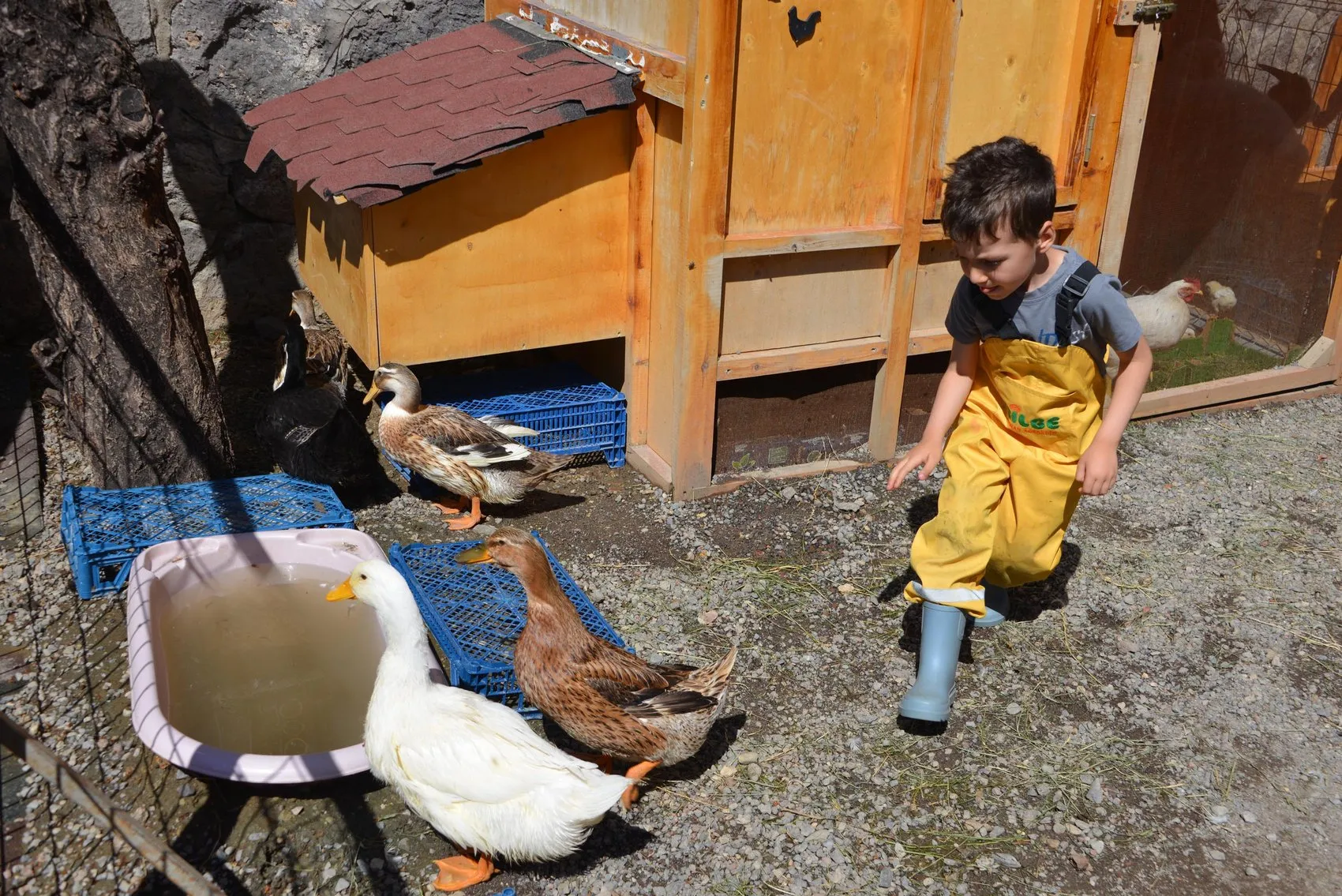 Erzurumdaki anaokulu çocukları dört duvar arasından çıkarıp ormana taşıdı