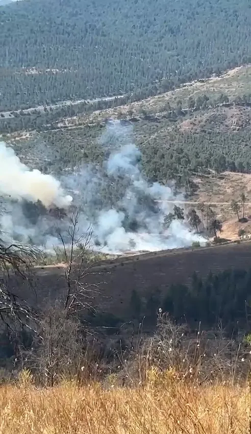 Bursa Büyükorhan'da orman yangını paniği