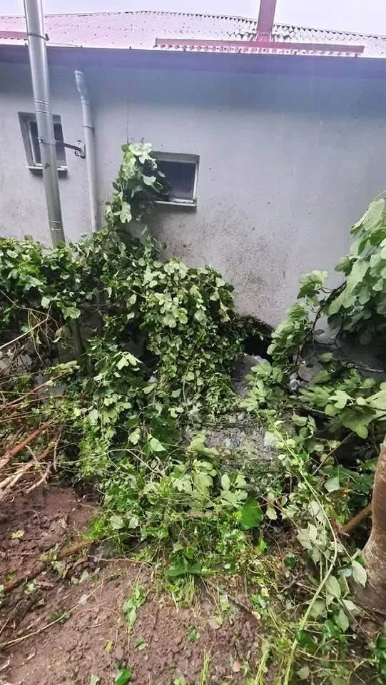Giresun'da dev kaya parçası evin üzerine düştü