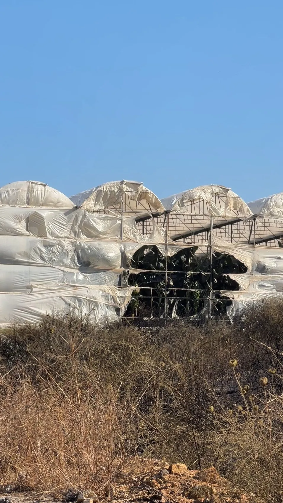 Antalya ormanları iki günde 12 farklı noktada alevlere teslim oldu