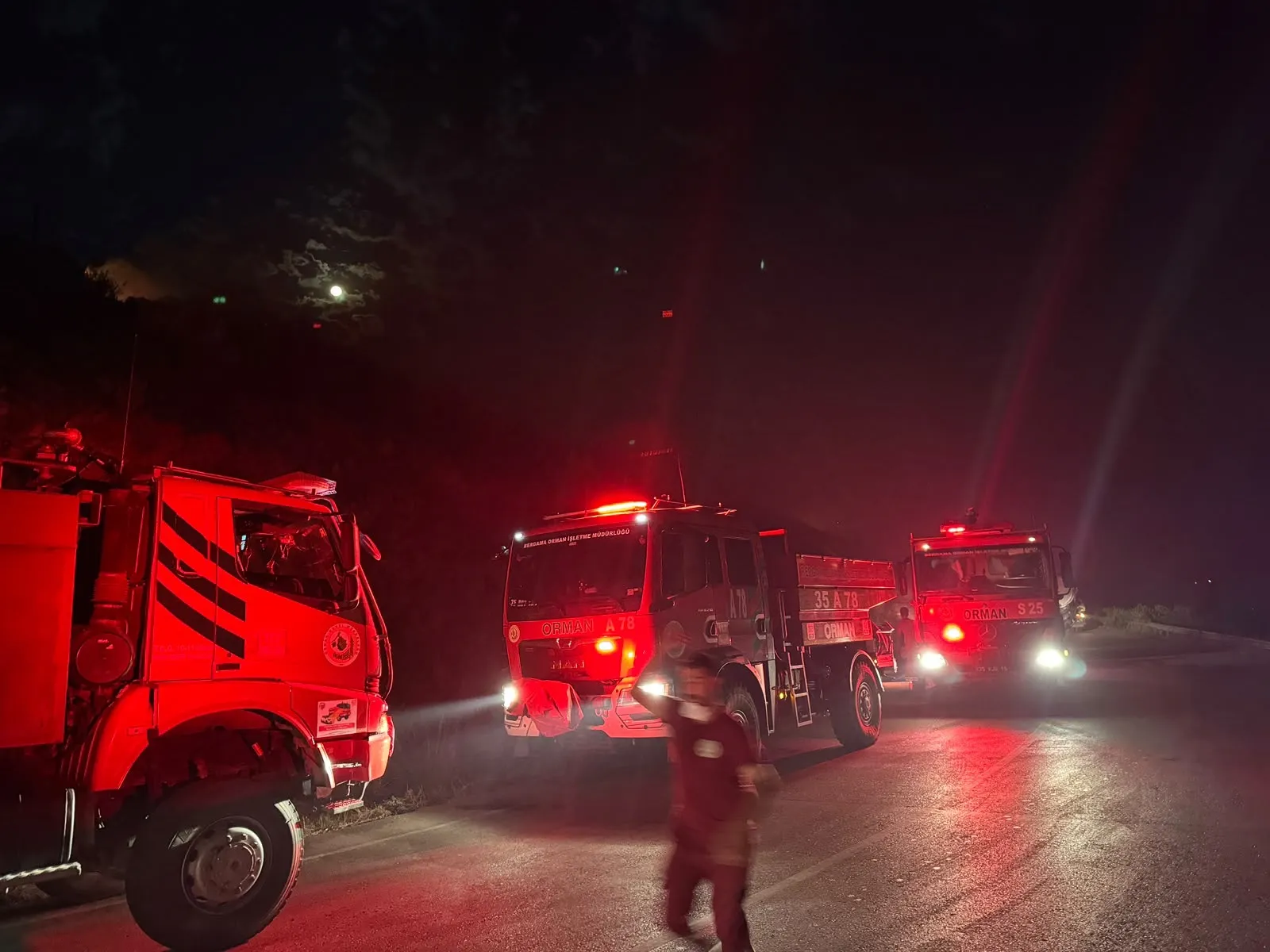 İzmir'de makilik alanda yangın paniği