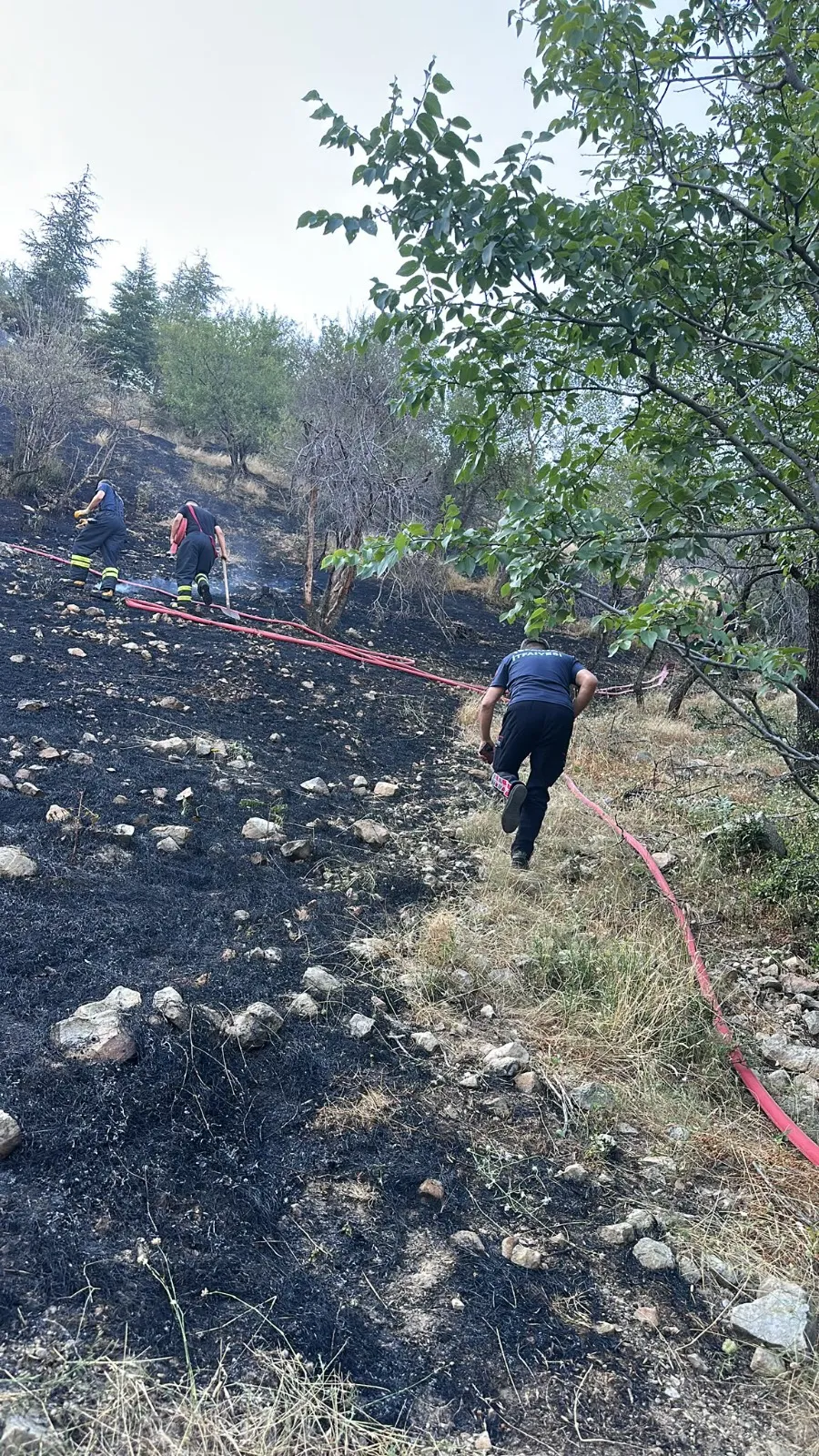 Isparta'da yangına müdahale eden itfaiyeyi arılar bastı