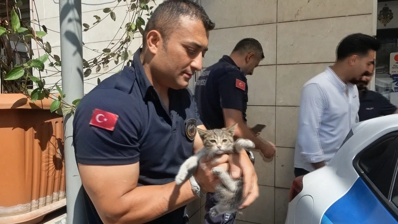 Amasya'da otomobilin motoruna sıkışan kediye itfaiye müdahalesi