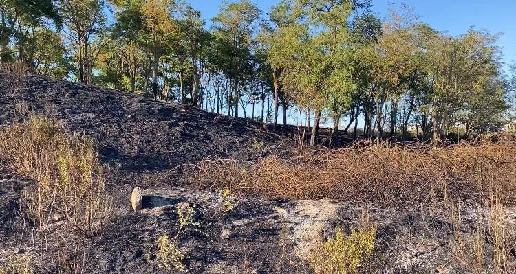 Başakşehir'de kuru otlar alevlere teslim oldu