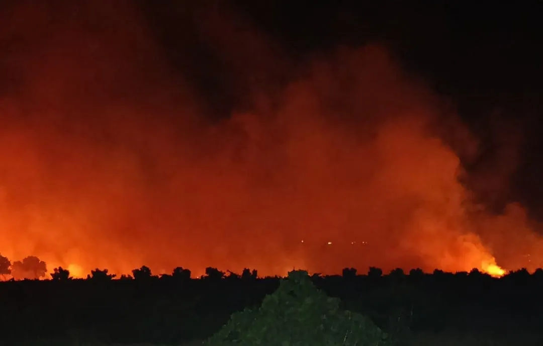 İslahiye’de gece çıkan yangın bağları küle çevirdi