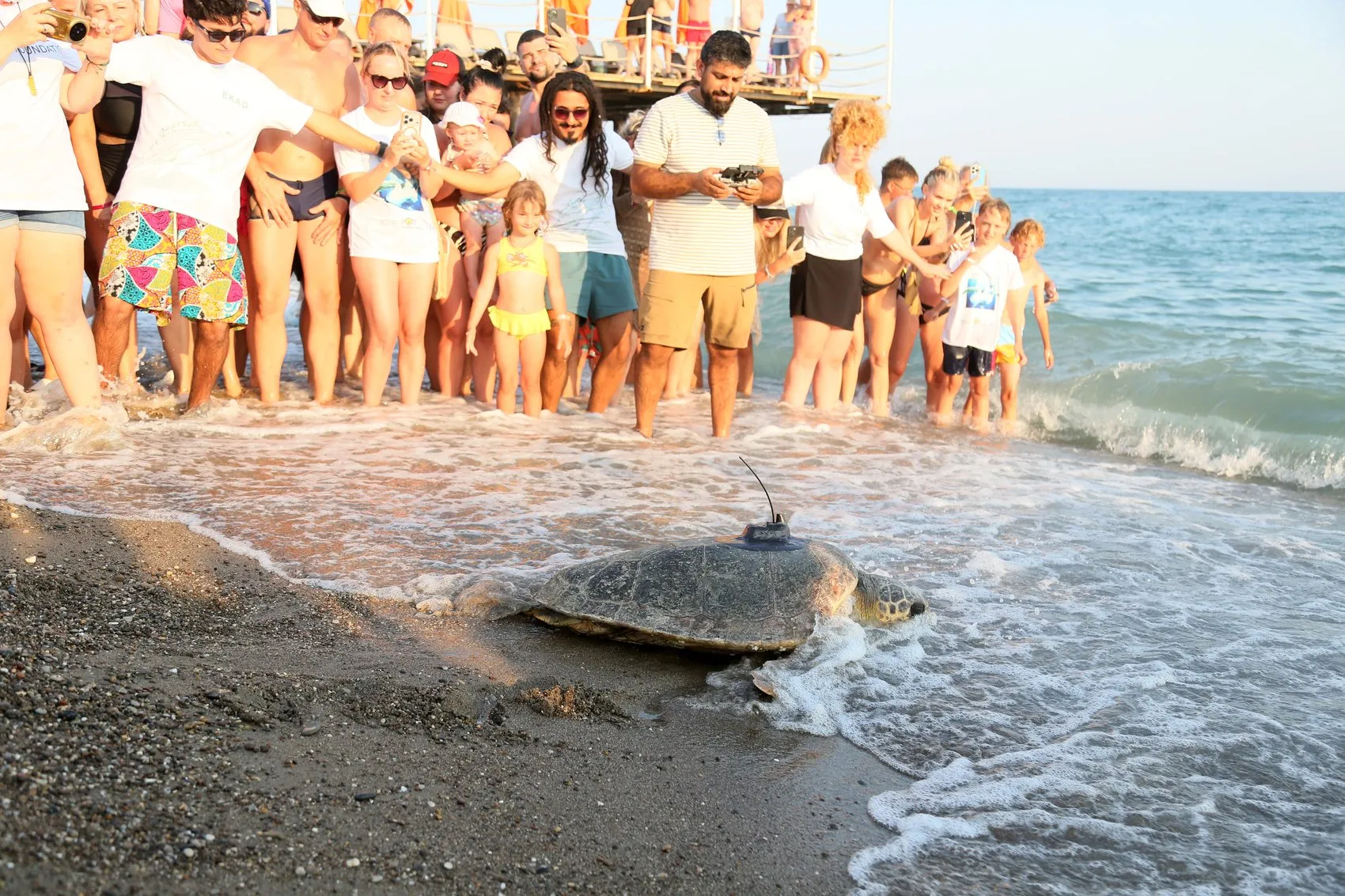 Antalya kıyılarında engelli carettaya uydu takibi