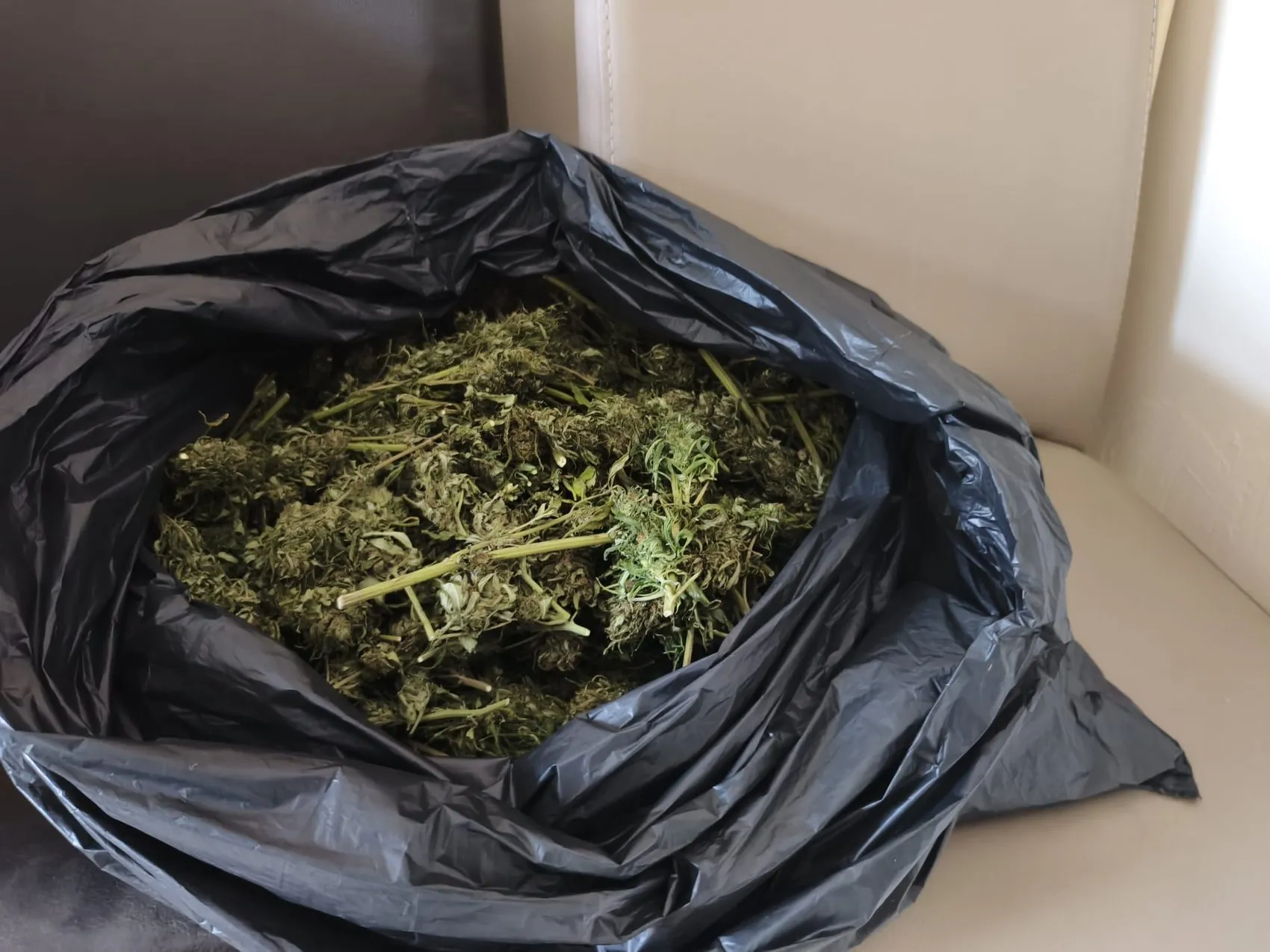 Yönetmen Ezel Akay evine düzenlenen operasyonla gözaltına alındı