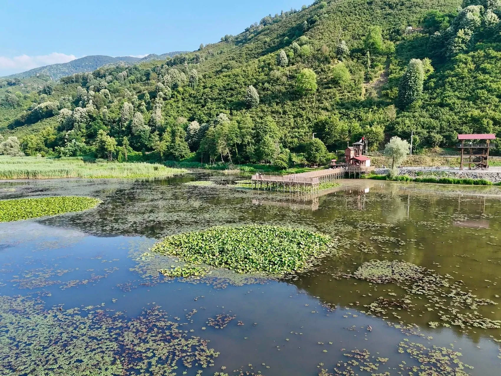 Düzce’nin saklı cenneti yazın rengini değiştirdi