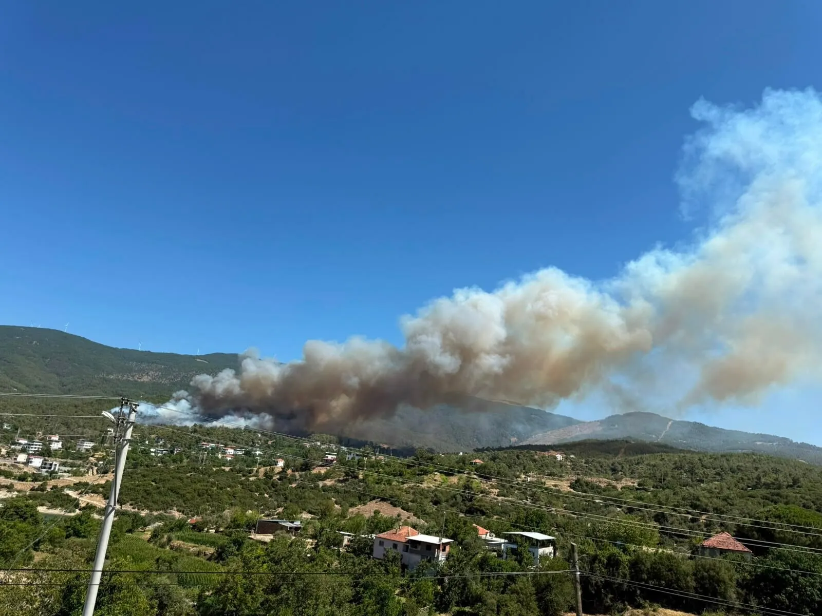 Çine ormanlarında korkutan dumanlar yükseliyor
