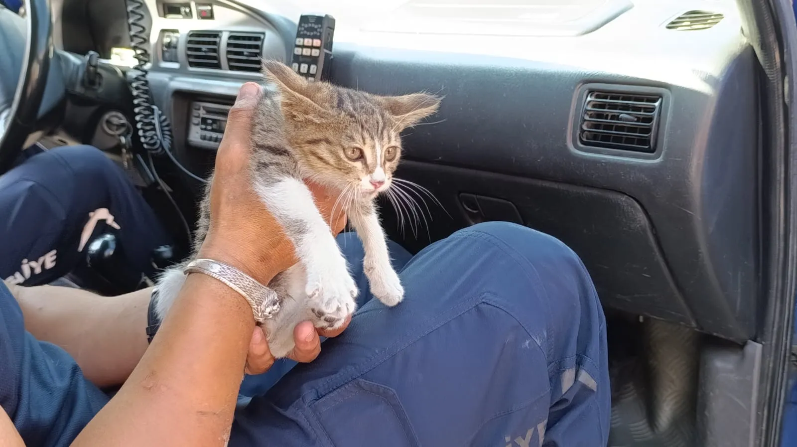 Amasya'da otomobilin motoruna sıkışan kediye itfaiye müdahalesi
