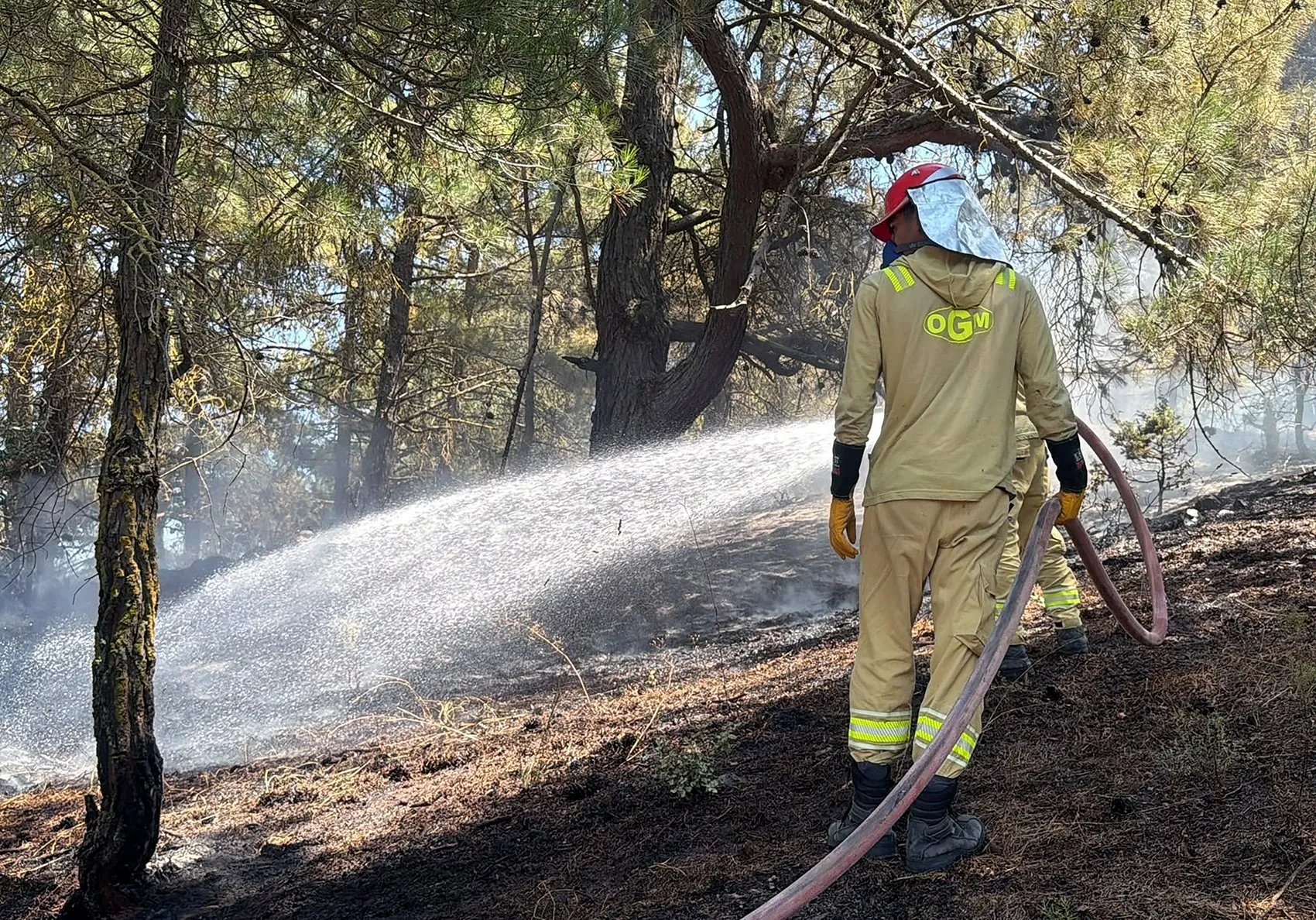 Osmaniye Yarpuz’da orman yangını paniği