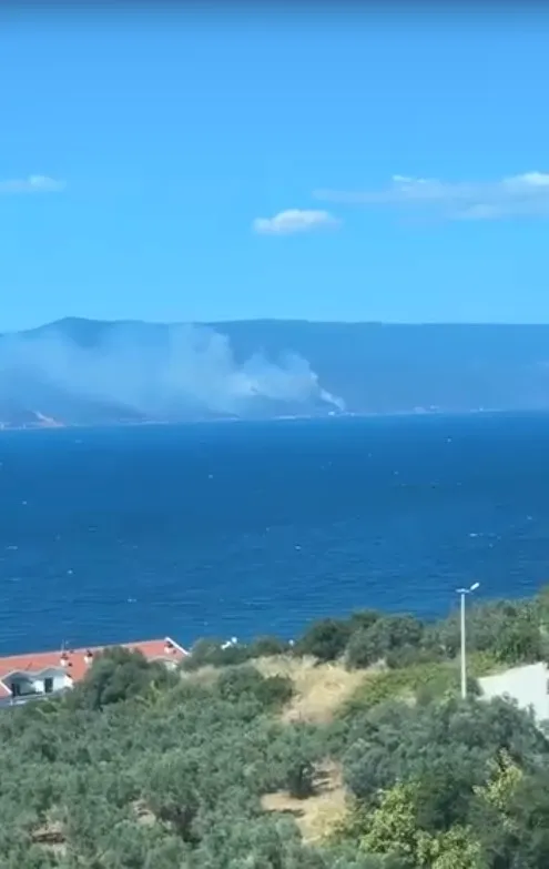 Yalova ormanlarında korkutan alevler