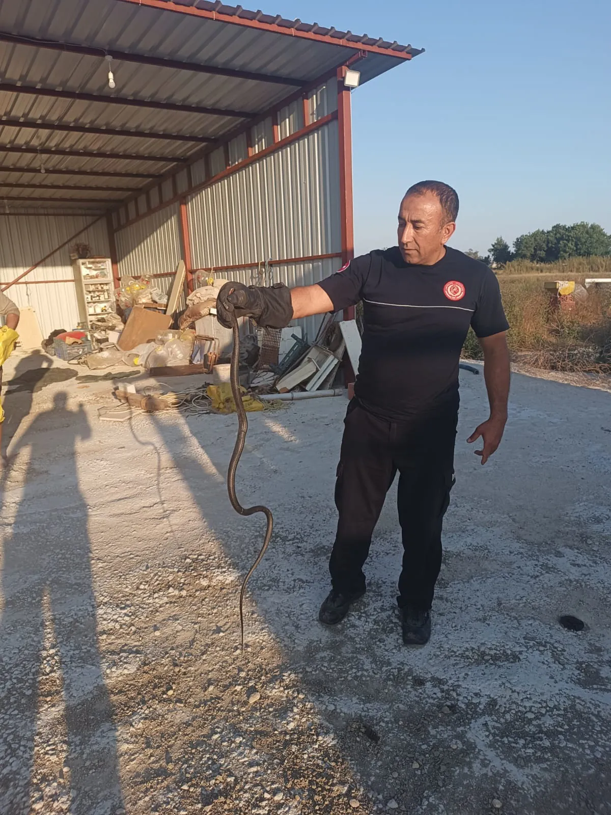 Antalya’da yılan alarmı Evinize girmemeleri için ne yapmalı
