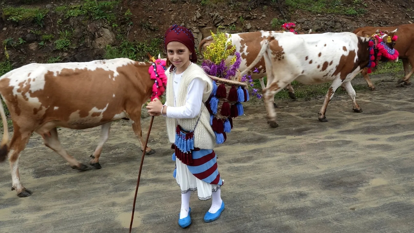 Trabzon'un yükseklerinde asırlık yayla göçü başladı
