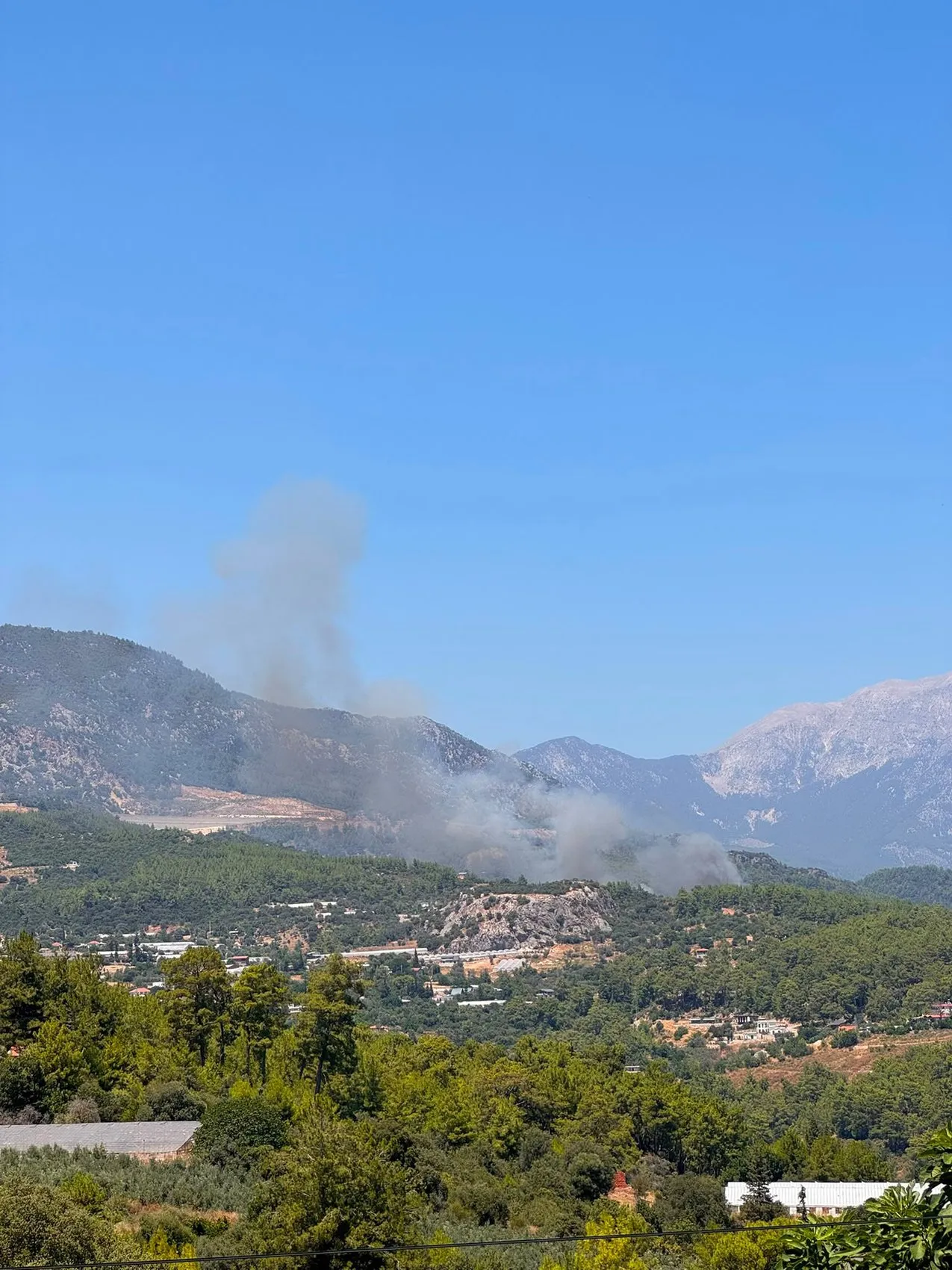 Kumluca Yazır Mahallesi ormanlık alanında yangın paniği