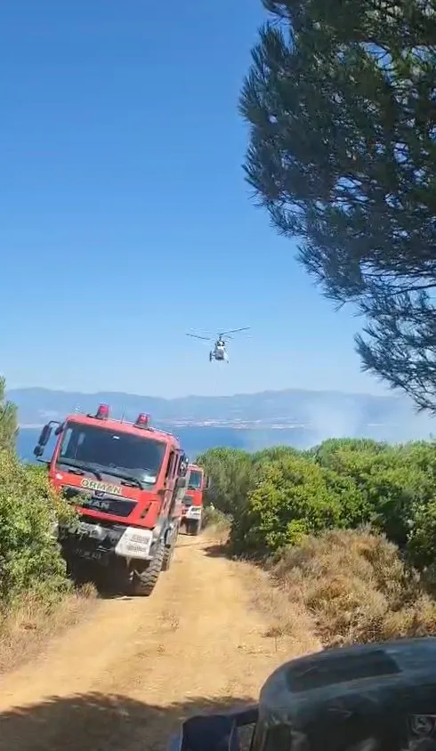 Yalova ormanlarında çıkan yangın ekipleri harekete geçirdi