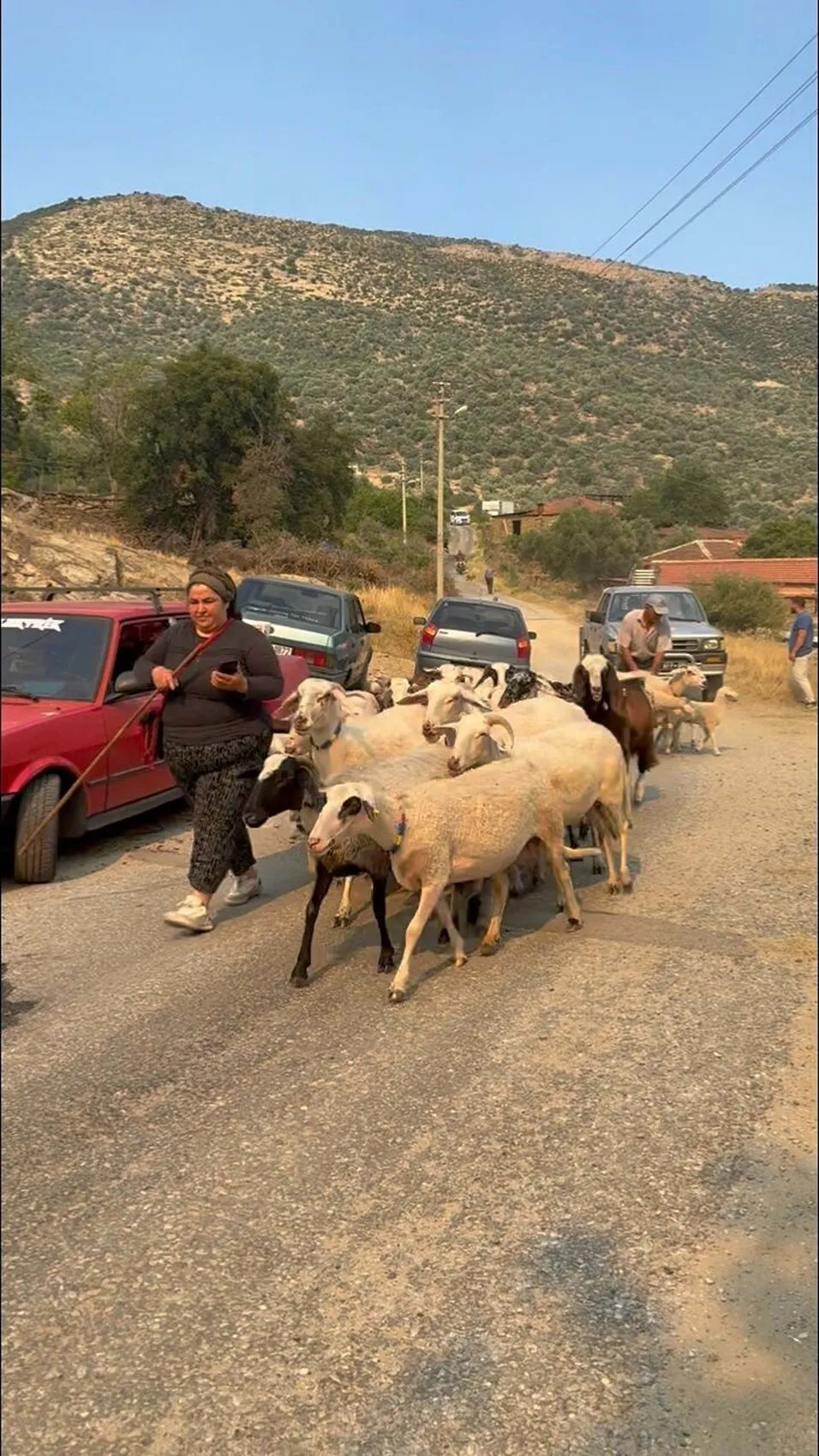 Aydın’da bir tarım arazisi küle döndü
