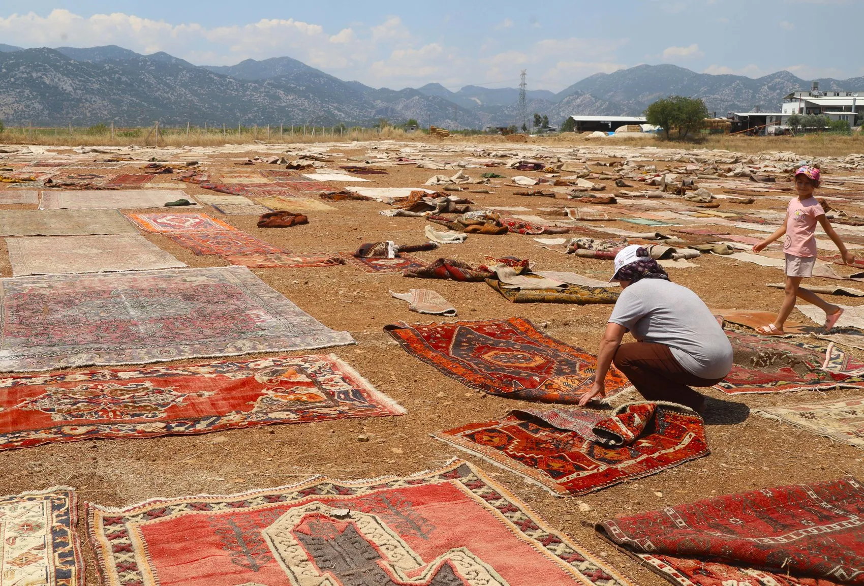 Antalya tarlalarında güneşle değerlenen halılar dünyaya satılıyor