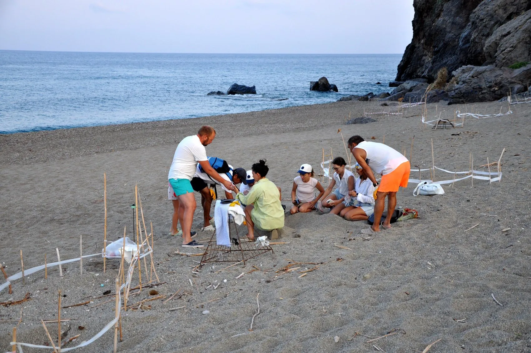 Antalya sahillerinde caretta caretta seferberliği
