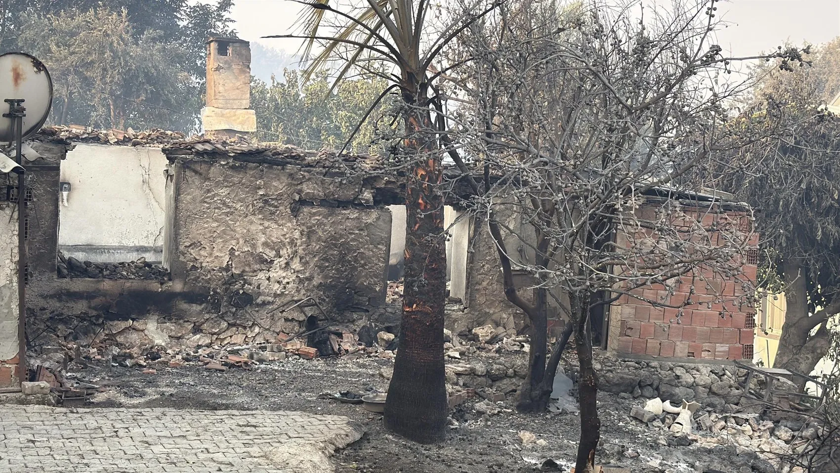 Seydikemer orman yangınında alevler evlere sıçradı