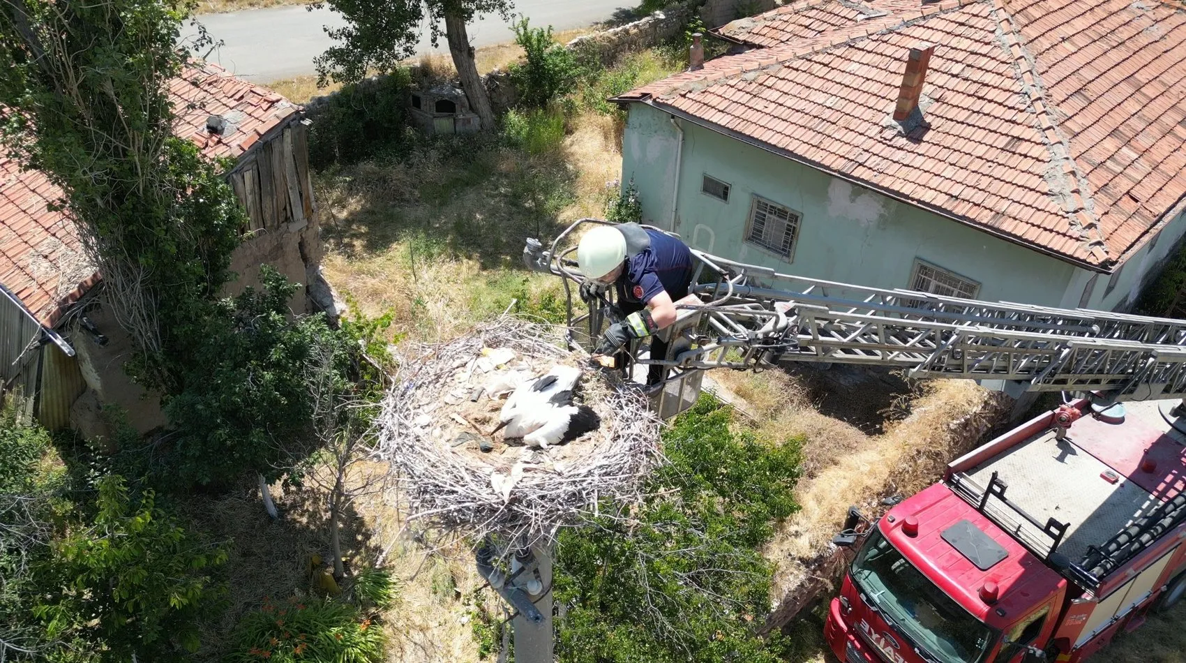 İp yumağına dönen yavru leyleği itfaiye kurtardı