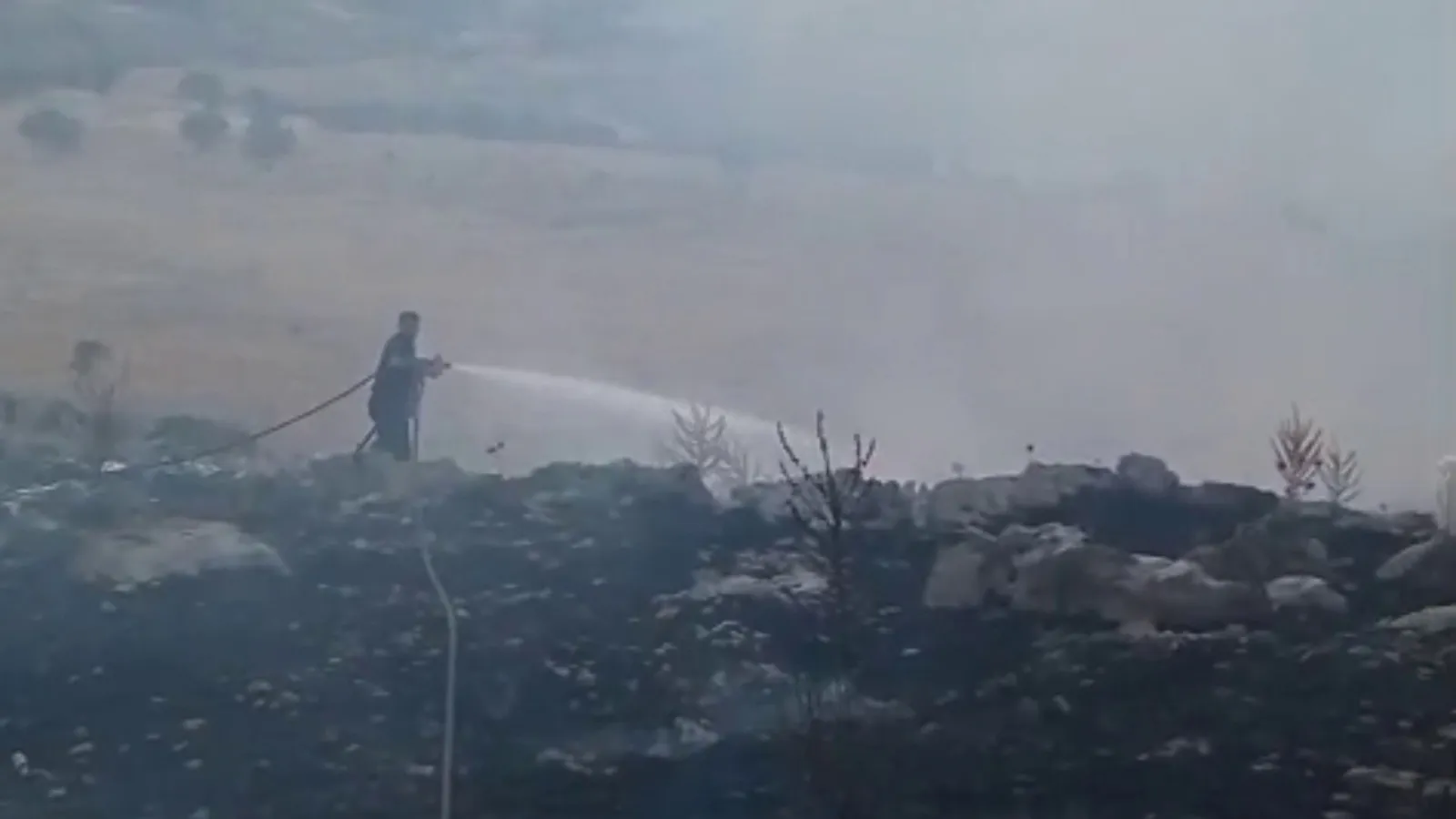 Adıyaman Kayaönü Köyü ormanlık alanında yangın çıktı