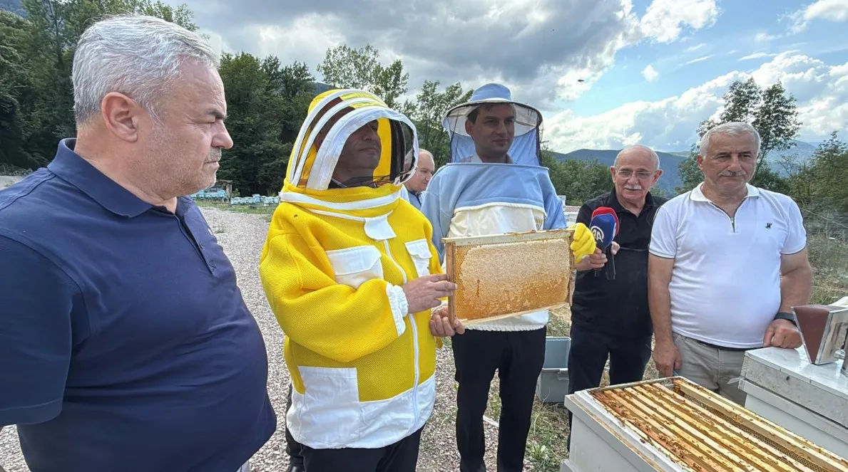 Avrupa tescilli Yenice ıhlamur balında sezon başladı