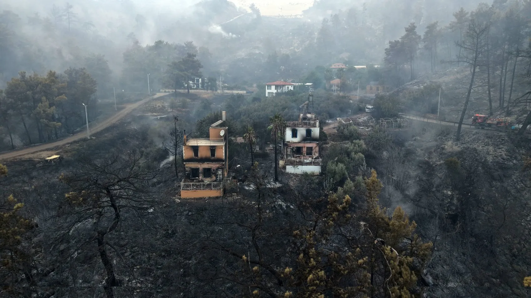 Antalya Kumluca alevlere teslim oldu