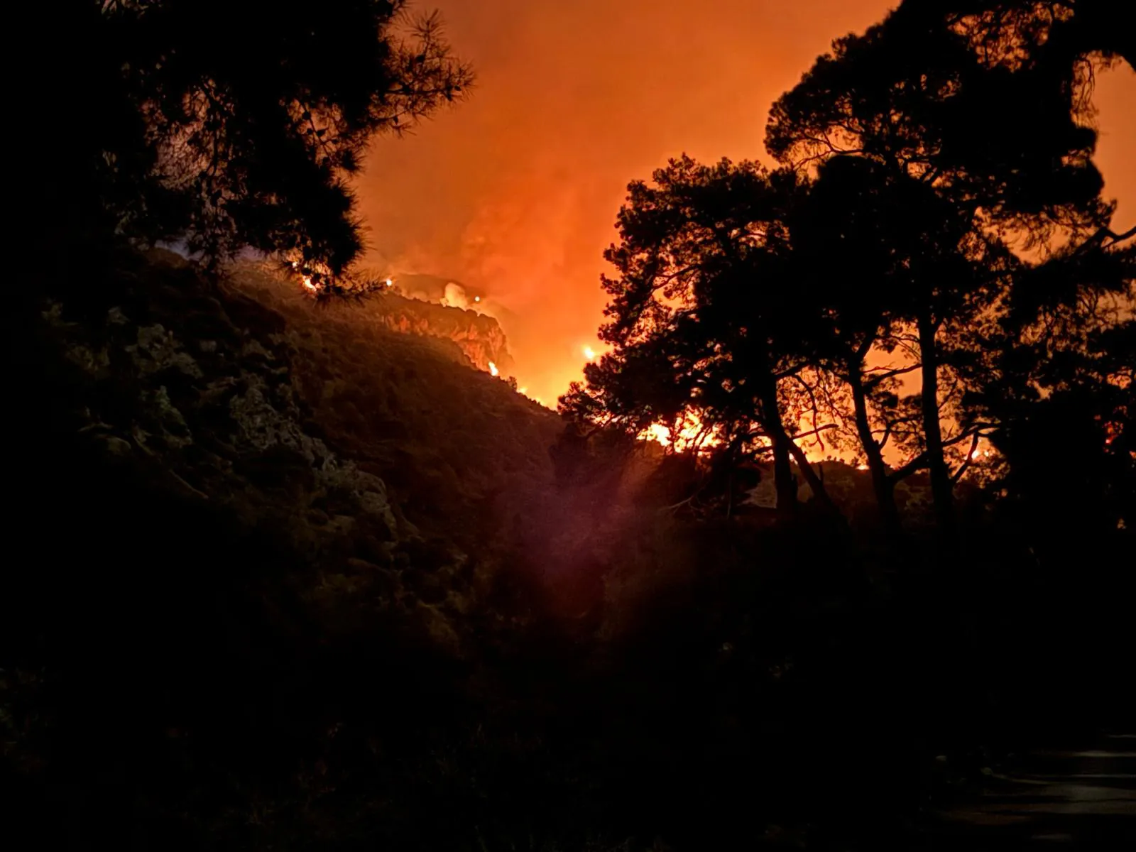 Kaş orman yangınıyla mücadele ikinci gününde devam ediyor