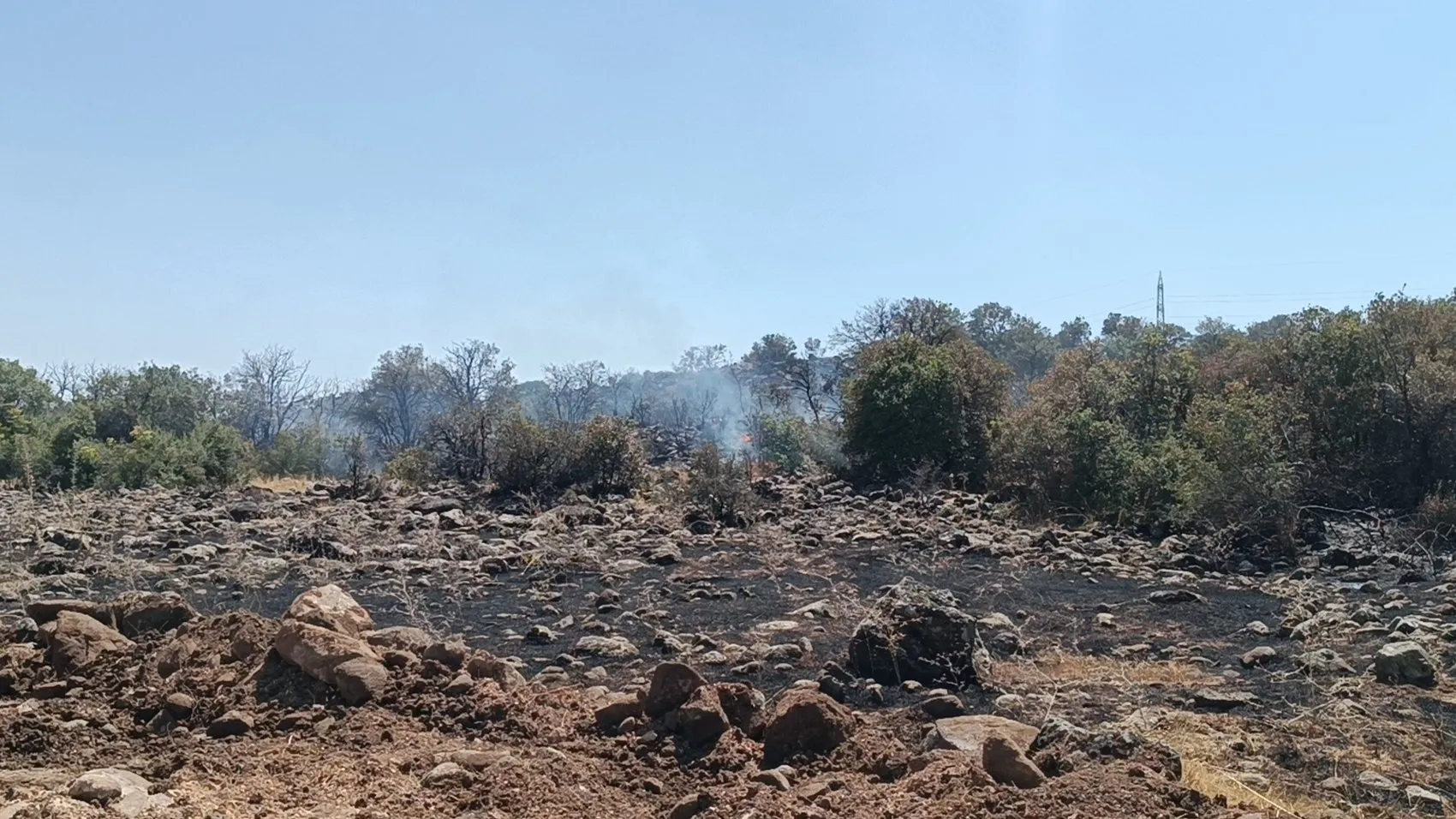 Gaziantep Köksalan mevkiinde çıkan yangın söndürüldü