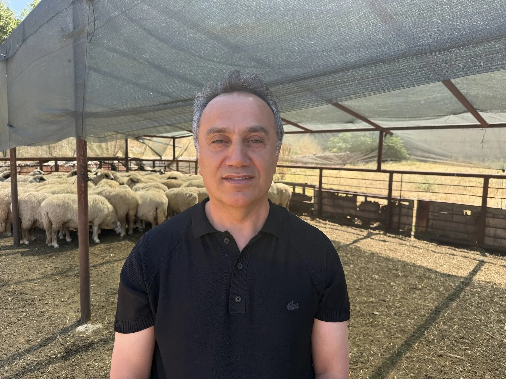 Tokat'ın meşhur Karayaka koyunu üniversitede güvence altına alındı