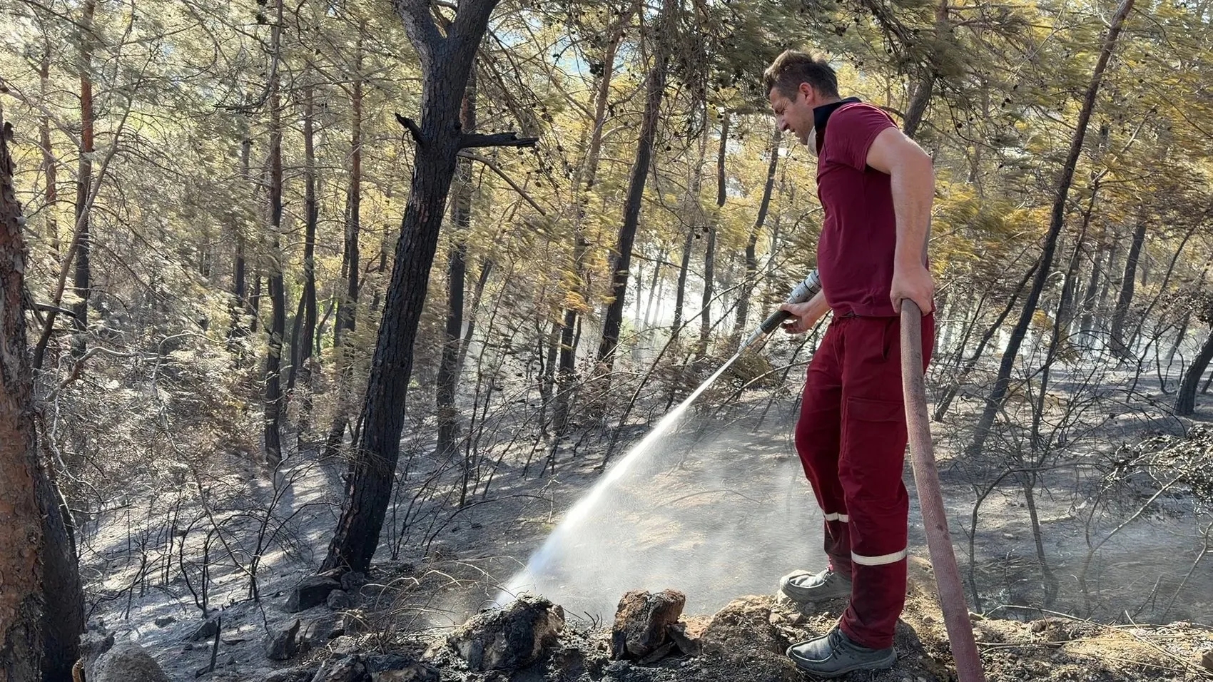 Antalya ormanları iki günde 12 farklı noktada alevlere teslim oldu