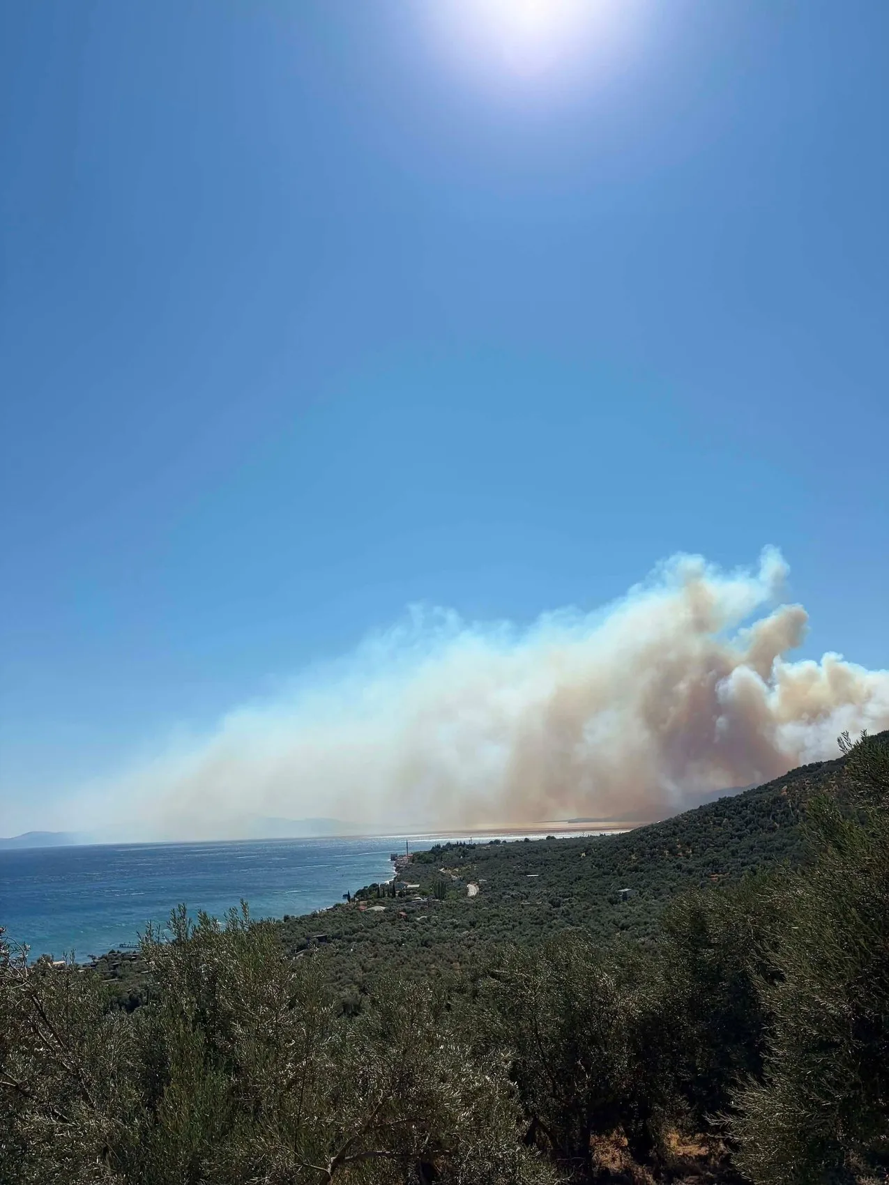 Çanakkale Ayvacık'ta alevler hızla yayılıyor