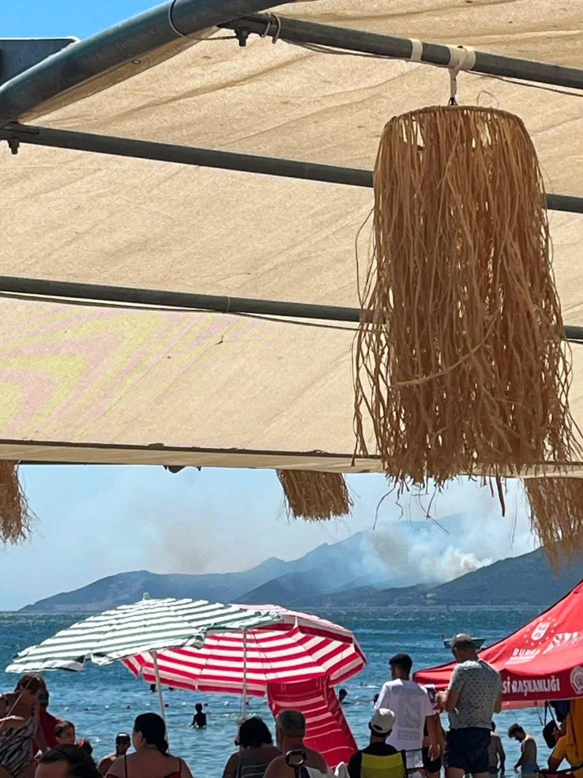 Yalova ormanlarında korkutan alevler